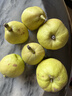 京鲜生 新疆库尔勒香梨 净重10斤 一级 单果100-120g 生鲜水果 实拍图