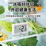 德力西电气（DELIXI ELECTRIC）冰箱温度计家用冰箱超市冰柜温度计药店冷冻库保温箱冷藏柜测量计 实拍图