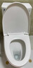 JOMOW九牧王马桶家用马桶直冲式防臭后排墙排坐便器送货上门 直冲式专用-管道全施油-中益高 250/300/350/400坑距下单备注【送货入户】 实拍图