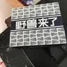 野兽来了唤醒野兽男士内裤按摩颗粒物理养护100A抗菌生蚝素四角裤 三条礼盒包装-棉款 2XL （建议体重130-150斤） 实拍图