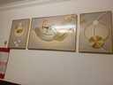 诗六艺家饰客厅装饰画北欧现代简约沙发背景墙挂画三联画大气轻奢壁画晶瓷画 羽鹿生辉（铝合金外框） 晶瓷画左右50*70+中间100*70亮面 实拍图
