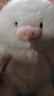 名创优品（MINISO）福莉丝猪系列-乖乖坐姿公仔毛绒玩具玩偶抱枕娃娃生日礼物女 实拍图