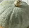 京鲜生 新疆银板栗南瓜 净重4.5斤起1-2粒装新鲜蔬菜 粉面甜装源头直发 实拍图