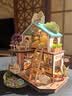 若态若来diy小屋小狗别野联名款手工拼装积木拼图儿童玩具生日礼物女 实拍图