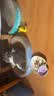 POPOCOLA剑麻猫抓板窝耐磨不掉屑耐抓四季通用大号猫咪猫爪板猫窝一体 52CM圆形全剑麻猫抓板【深睡款】 实拍图