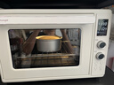 长帝（changdi）重磅新品国家补贴小馋猫Pro电烤箱家用平炉大风机炸烤一体42升大容量食品级搪瓷内胆多功能烘焙 实拍图