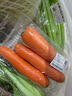 【水果菜】沙地脆甜胡萝卜约500g  实拍图