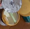美素佳儿（Friso）皇家幼儿配方奶粉 3段（1-3岁幼儿适用）800g 乳铁蛋白 (新国标) 实拍图