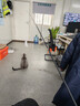 欢宠网猫玩具猫咪1.8m逗猫棒长杆羽毛铃铛自嗨解闷神器猫猫小猫幼猫宠物 实拍图
