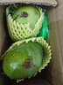 粤品【青芒果】酸芒果生吃广西酸嘢新鲜水果海南象牙生芒果腌制酸脆果 生芒果1斤-送调料 实拍图