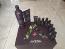 AVEDA【官方正品】艾梵达丰盈强韧紫森林洗发水1000ML蓬松高颅顶姜防断 实拍图