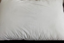 水星家纺枕头枕芯酒店枕头护颈枕头芯家用单个纯棉抗菌可水洗中枕48x74cm 实拍图