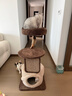 兽牌云端实木猫爬架小户型猫架带窝猫咪抓柱猫架子猫树猫窝猫抓板一体 小树屋【实木柱+大窝】 实拍图