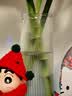 吕姆克花瓶玻璃透明小花瓶干花满天星仿真花鲜活容器水纹花瓶摆件5272 实拍图