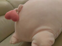 名创优品（MINISO）小猪B-BO弹力超柔趴姿公仔玩具玩偶抱枕娃娃生日三八节女神礼物 晒单实拍图