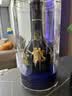 郎酒 青花郎 礼承时光礼盒 2019年 酱香型白酒 53度 500ml*2瓶 礼盒装 陈年白酒 【京东老酒】 白酒礼盒双11 实拍图