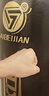 爱倍健（AIBEIJIAN）拳击沙袋散打立式家用成人拳击沙包不倒翁儿童跆拳道拳击训练器材 1.8米耐打王【加强工艺】 实拍图