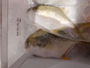 翔泰海南金鲳鱼净重900g2条装 鱼类生鲜 海鲜水产 【热卖款】 实拍图