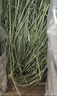 喜帅 精品烘干提摩西草500g 提草荷兰猪龙猫兔子磨牙牧草兔粮 实拍图