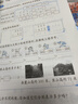 文轩【班级团购优惠】2026版53天天练一二三四五六年级下上册人教北师苏教西师外研北京版语文数学英语教材同步随堂练习册曲一线5.3同步训练人教版五三天天练5+3 数学 西师版 二年级下册【2026春】 实拍图