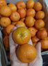京鲜生 正宗广西砂糖桔净重4.5斤装 单果35-55mm生鲜水果源头直发包邮 实拍图