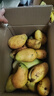 庾丰 海南芒果 新鲜水果生鲜整箱当季大青皮金煌芒 热带孕妇玉芒果 10斤装(净果8.5-9斤)单果200g+ 实拍图