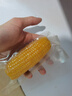 当季新货头茬东北黄甜糯玉米棒真空包装低脂黄糯大棒甜东北黏苞米 黑土地黄糯玉米【120-160克】1根 实拍图