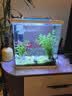 LED全光鱼缸灯同款水族箱鱼缸照明灯架水草灯增艳发色灯神灯节能 6瓦增艳灯18cm（适合20-30cm鱼缸） 四排灯珠 实拍图