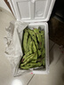 京鲜生山东新鲜油豆角3斤装新鲜蔬菜源头直发包邮 实拍图