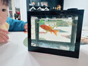 桌面鱼缸小型家用积木缸生态缸水族箱斗鱼缸带小夜灯氛围灯摆件 黑色斗鱼缸+一个灯 实拍图