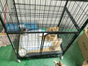 腆宠 猫笼 猫别墅猫笼子带厕所大号加粗方管猫窝猫舍猫屋家用宠物笼子 实拍图