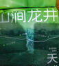 力狼猫砂 植物木薯除臭不易粘底几近无尘易结团猫砂快至次日达 【多猫囤】龙井木薯混合20kg40斤 实拍图