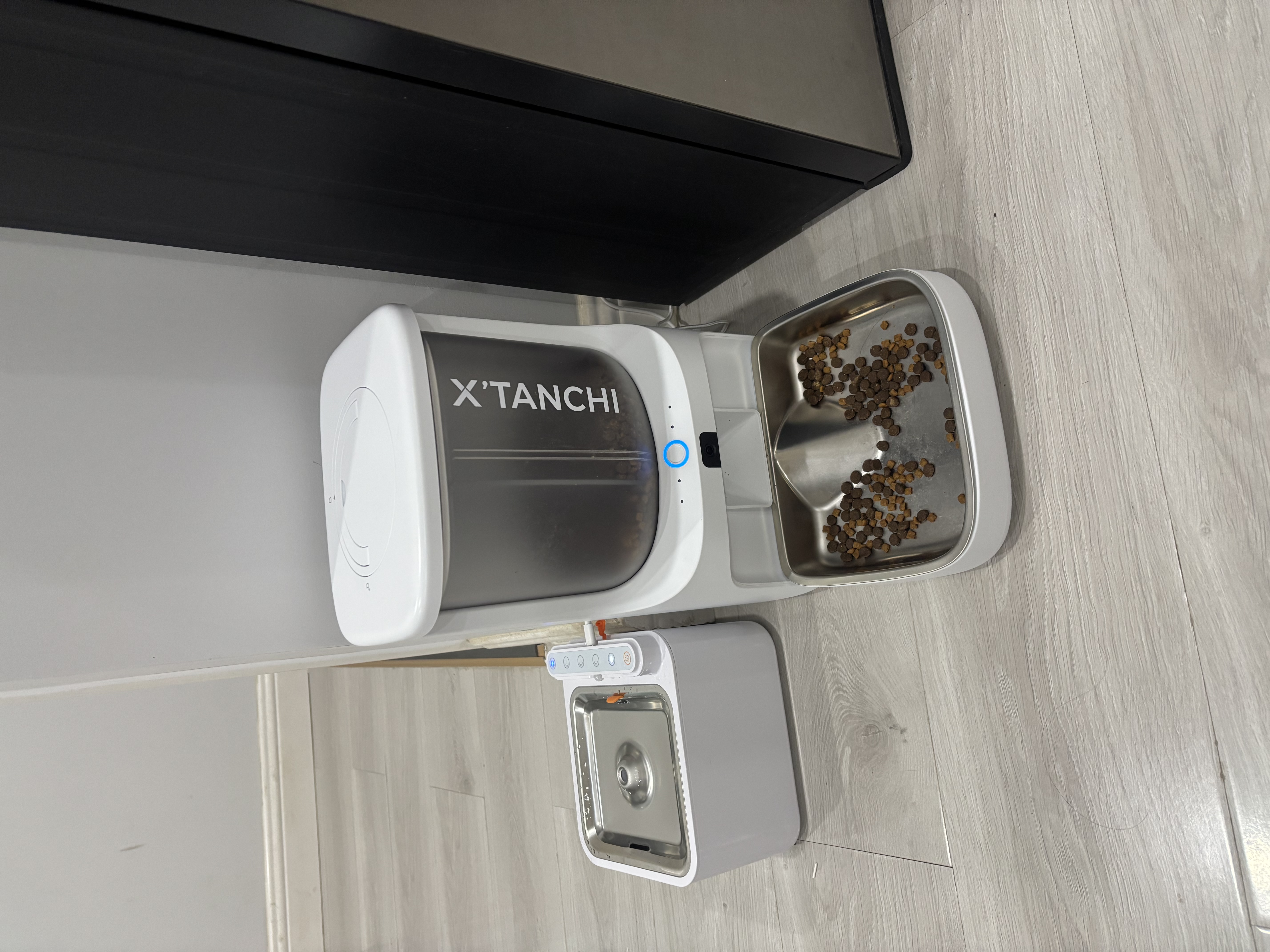小甜橙双摄可视AI自动喂食器 视频监控 定时定量 猫狗宠物喂食  实拍图