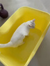 疯狂的主人猫砂盆半封闭式猫厕所防外溅大黄油猫沙盆猫屎盆猫咪用品 实拍图