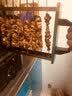 猎钢狼无烟羊肉串电烤箱商用家用烤串机全自动抽屉式电热烤串烧烤炉 经典智能控温款（一组9串）-五组带油盘 实拍图