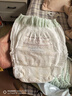 babycare金山茶花拉拉裤XL34片(12-17kg)婴儿尿不湿超薄透气新生柔花苞裤 实拍图