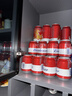 百威啤酒淡色拉格450ml*18听*2+mini红罐淡色拉格255ml*12整箱装送礼 实拍图