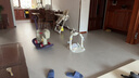 迪漫奇宝宝抚触球婴儿感知球抓握训练球类玩具新生儿训练软胶抚触球礼物 实拍图