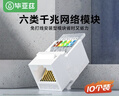 毕亚兹 六类网络模块CAT6千兆免打模块 RJ45水晶头母座网线口电脑插座免打线钳刀90°兼容86型面板10个装 实拍图