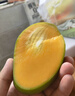 田良季广西金煌芒果特大芒大青玉水仙新鲜芒果凯特生鲜水果送礼品物盒 9斤装【蕞划算】净重8斤 甄选特级果【单果250-300g】 实拍图