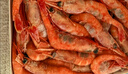鲜京采 进口格陵兰北极甜虾 净重2斤 90-150只 生甜虾 年货聚餐 实拍图