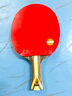 红双喜（DHS）狂飚九星乒乓球拍横拍专业比赛黑檀芳碳面材H9002赠球+拍套 实拍图