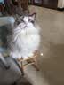 凯锐思猫条猫零食 猫条鱼肉条0添加0诱食剂湿粮混合口味猫咪零食 【美毛亮毛】鱼油猫条120支 实拍图