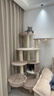 兽牌森林猫爬架大型猫树猫窝一体豪华剑麻猫架太空舱缅因大猫暖冬适用 森林【经典款】 实拍图