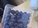 怡颗莓Driscoll's 云南蓝莓14mm+ 4盒装 约125g/盒 新鲜水果 实拍图