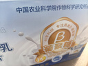 世壮中国农科院高钙牛乳燕麦片350g/盒 独立小包装办公室 代餐主食 实拍图