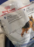 皇家狗粮 成犬狗粮 犬粮 宠物大型犬 GR26全价犬粮≥15月15KG 实拍图
