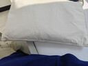 京东京造 经典荞荞枕 100%荞麦壳填充透气高度可调花草枕头枕芯单只装 实拍图