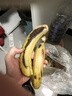 甜糯香蕉新鲜水果6号色食用最佳 青香蕉发货放软可吃放苹果催熟 甜糯香蕉带箱4斤 香甜软糯 实拍图