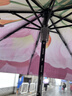 蕉下（beneunder）防紫外线遮阳伞三折双层黑胶晴雨伞防晒伞BM011岚影 实拍图